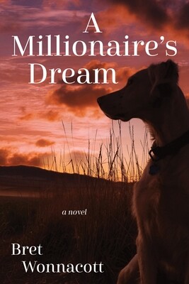 A Millionaire's Dream - a novel