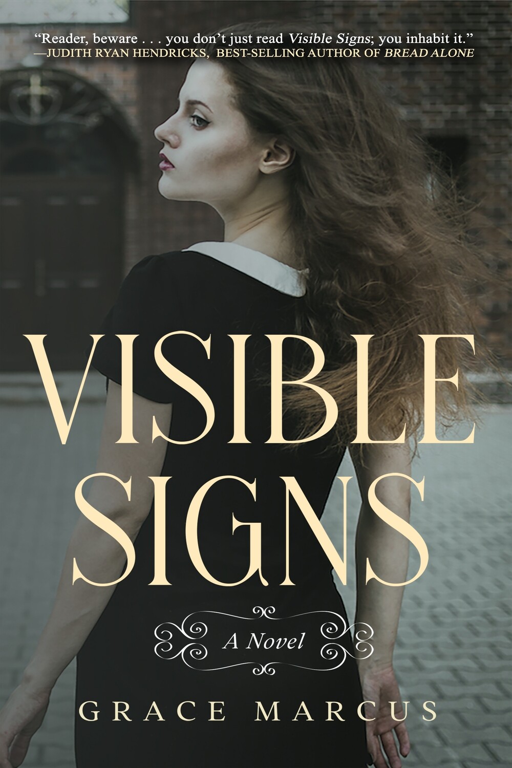 Visible Signs (a novel)