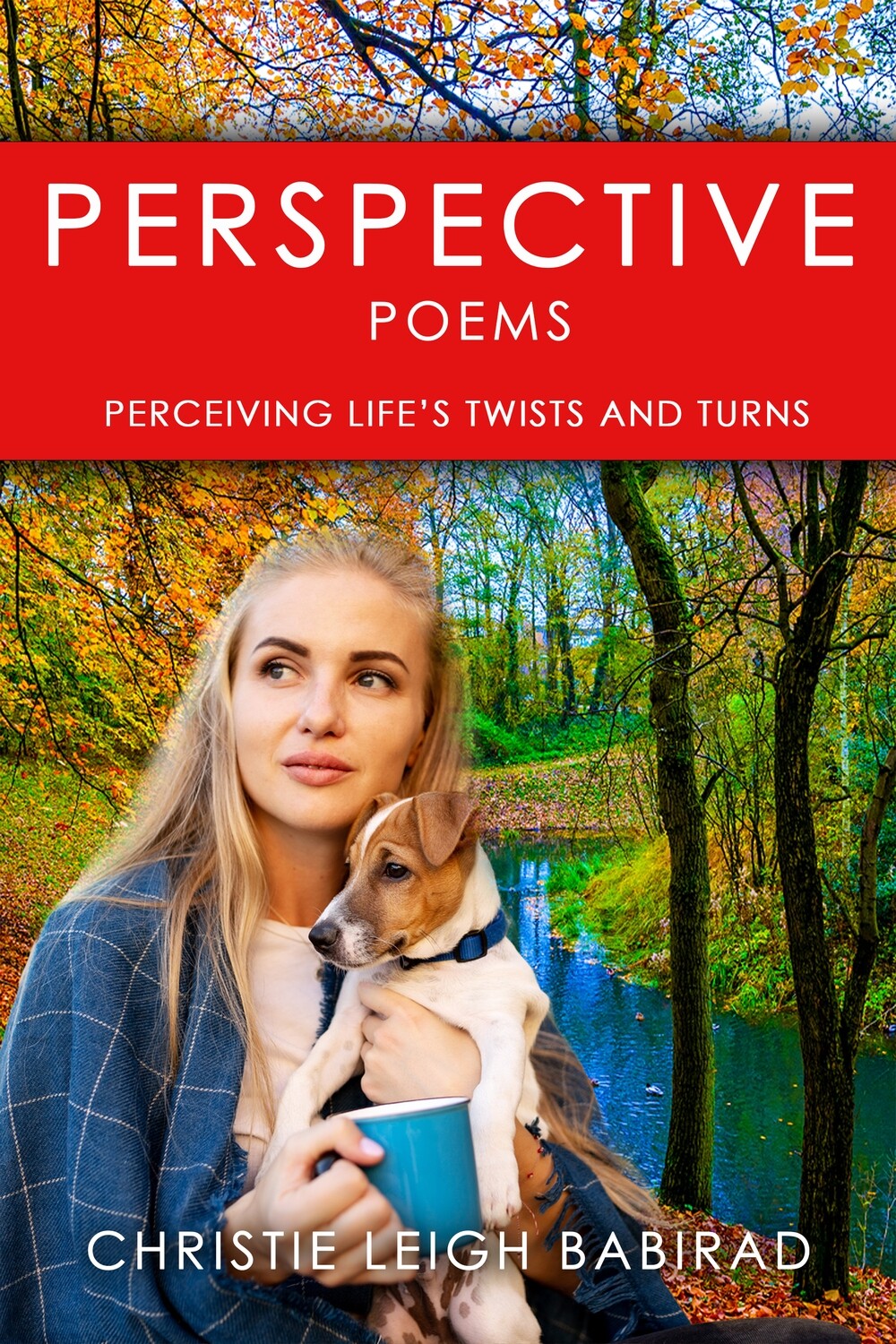 Perspective: Poems