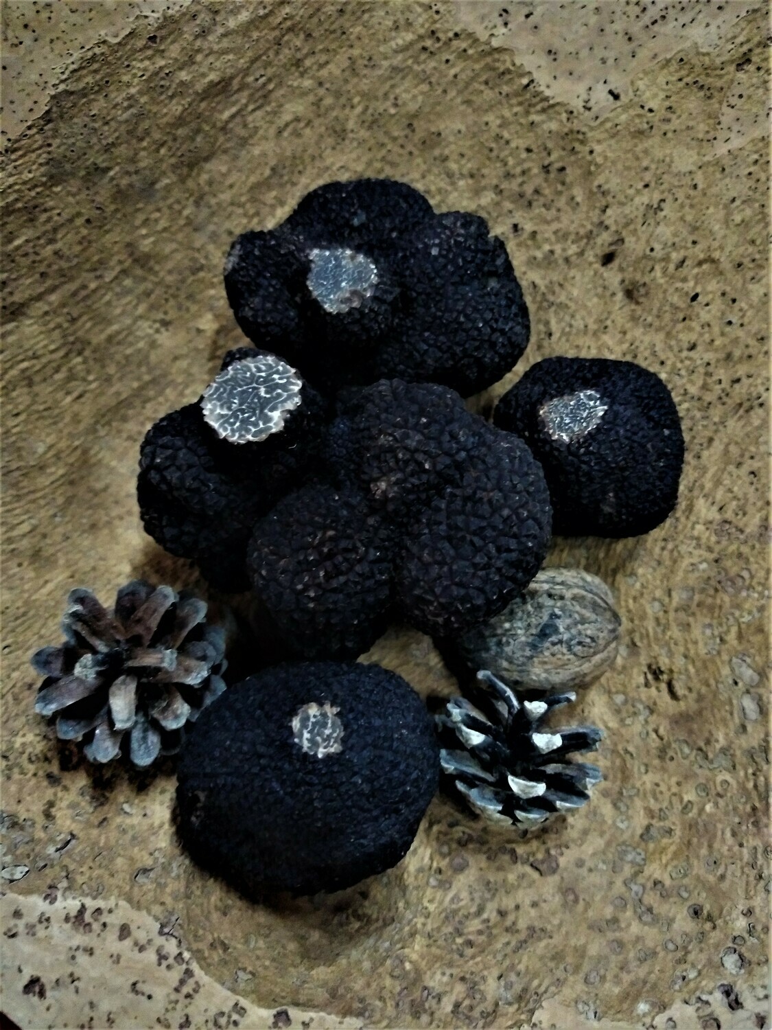 Tuber-Melanosporum 1kg