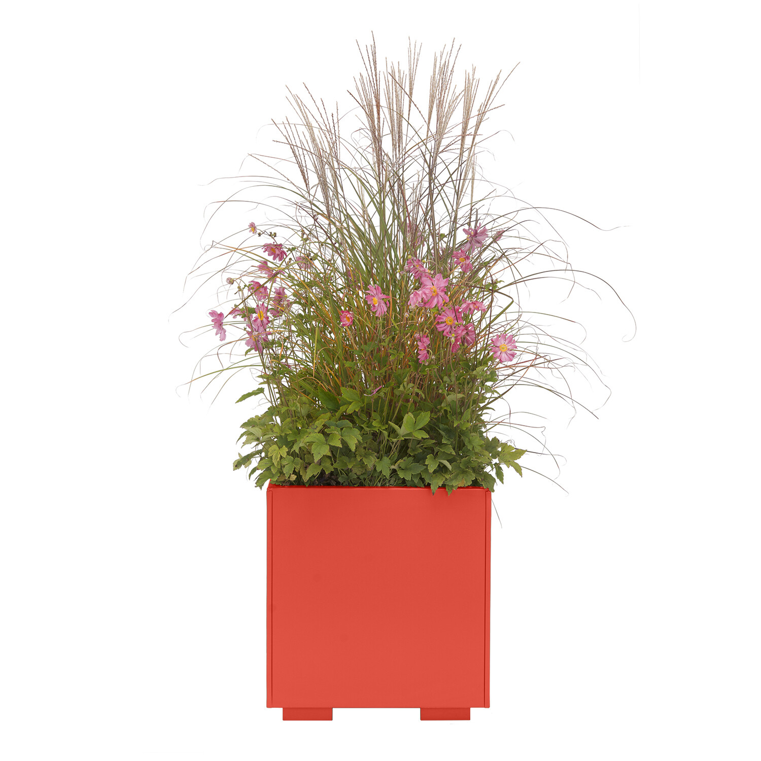 Powder Coated Cube Planter 600 x 600 x 600