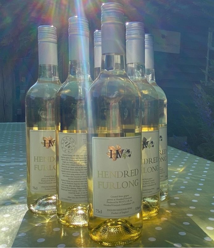 Case of 6 Hendred Furlong