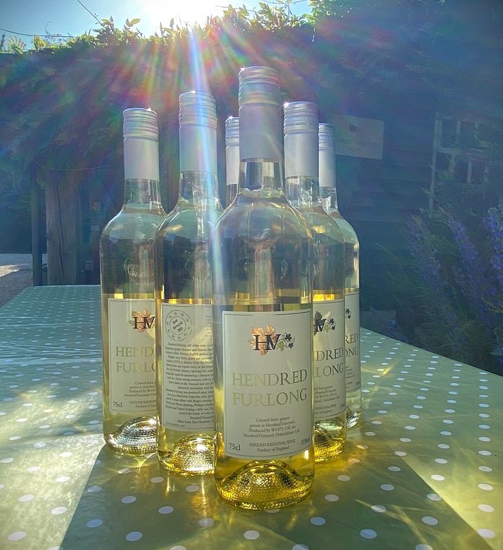 Case of 6 Hendred Furlong