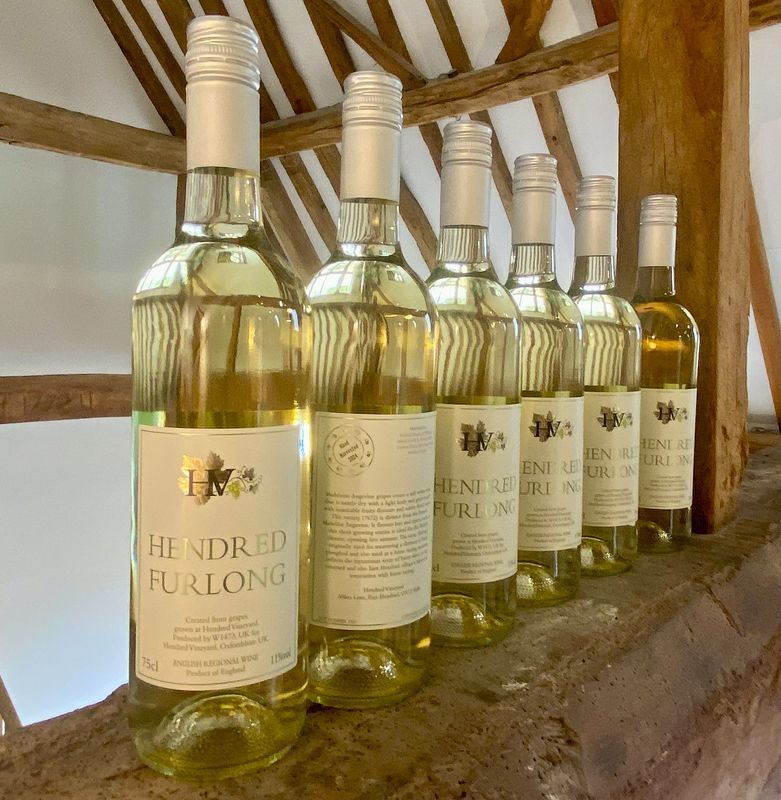 Case of 6 Hendred Furlong