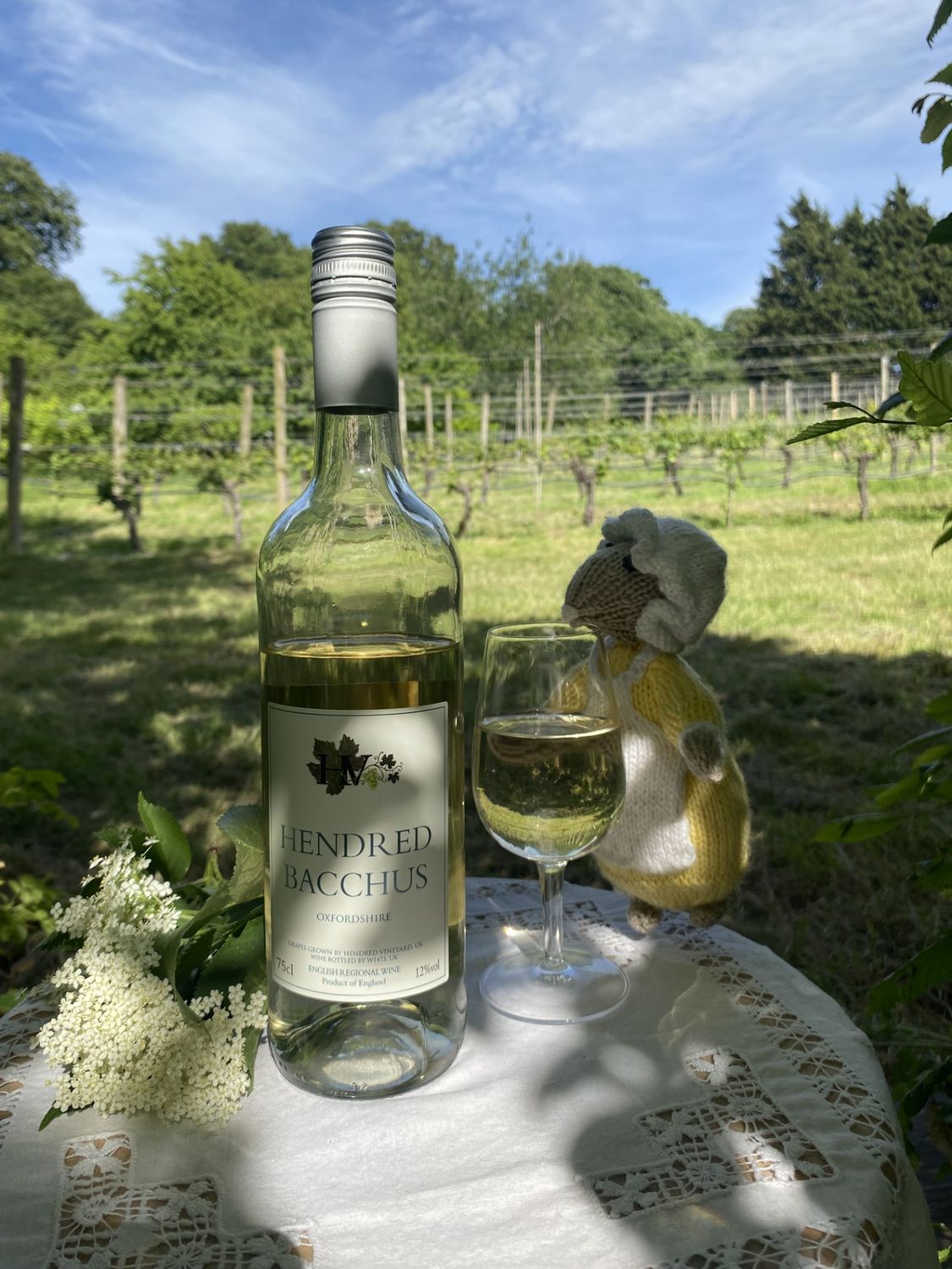 Case of 6 Hendred Bacchus
