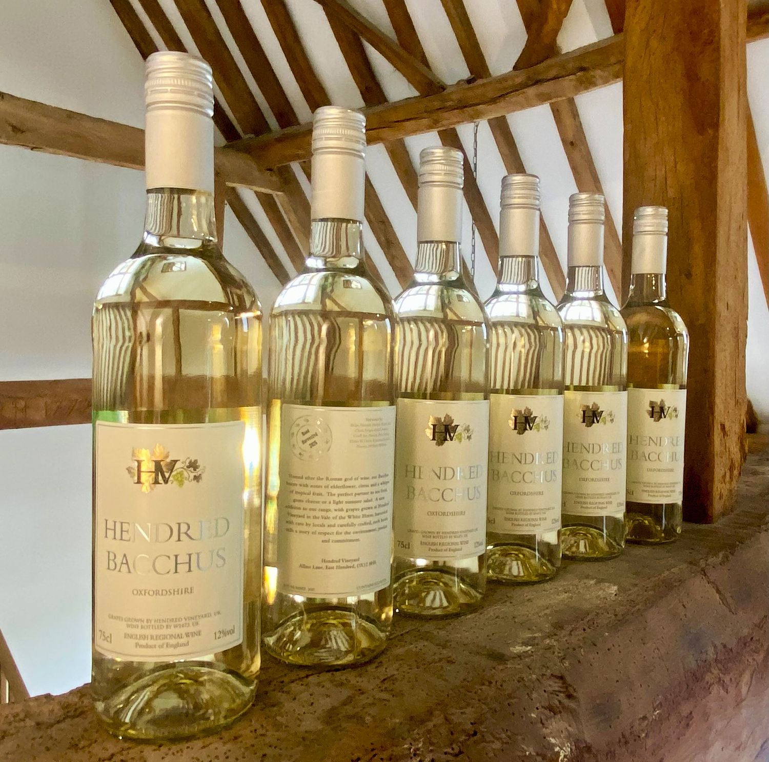 Case of 6 Hendred Bacchus