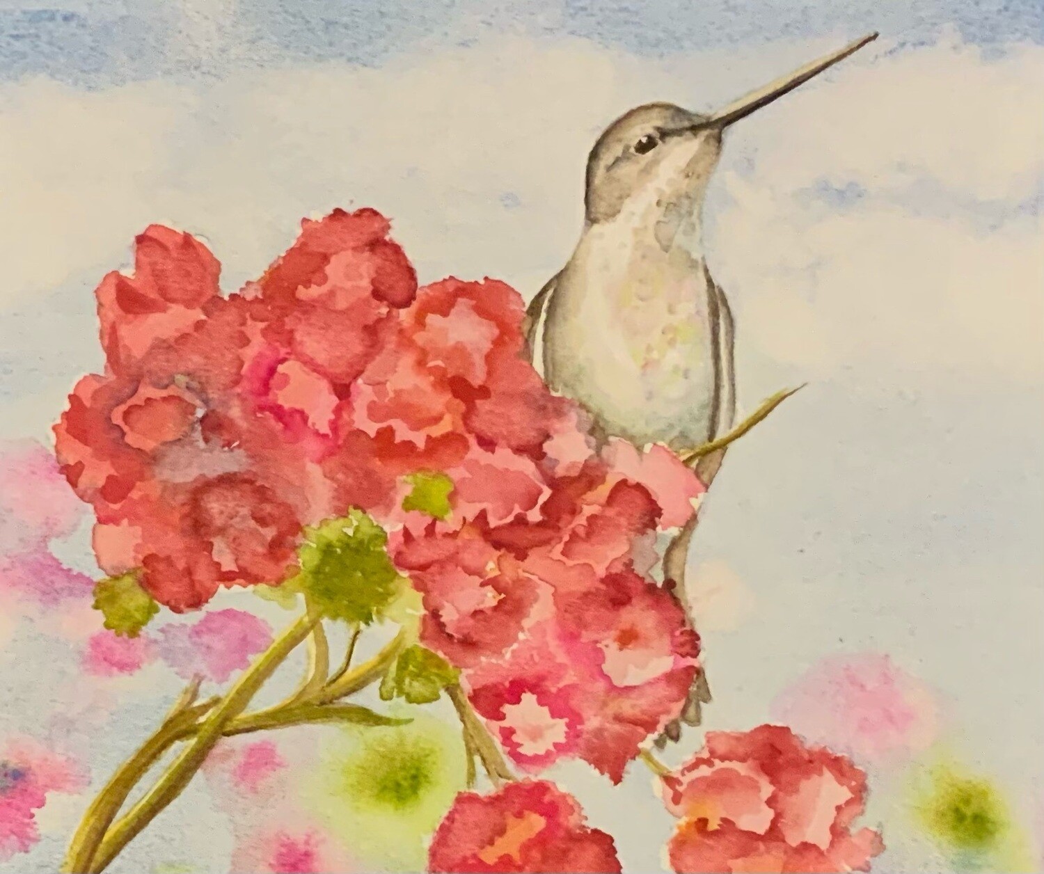 Watercolor Hummingbird Matted 8 x 10