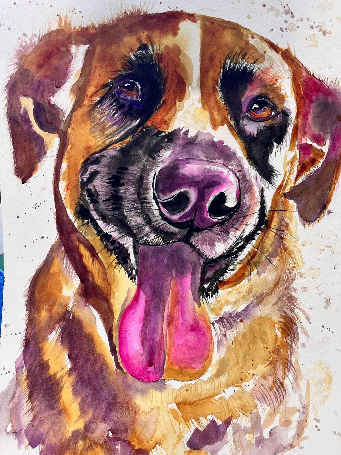 Pet portraits