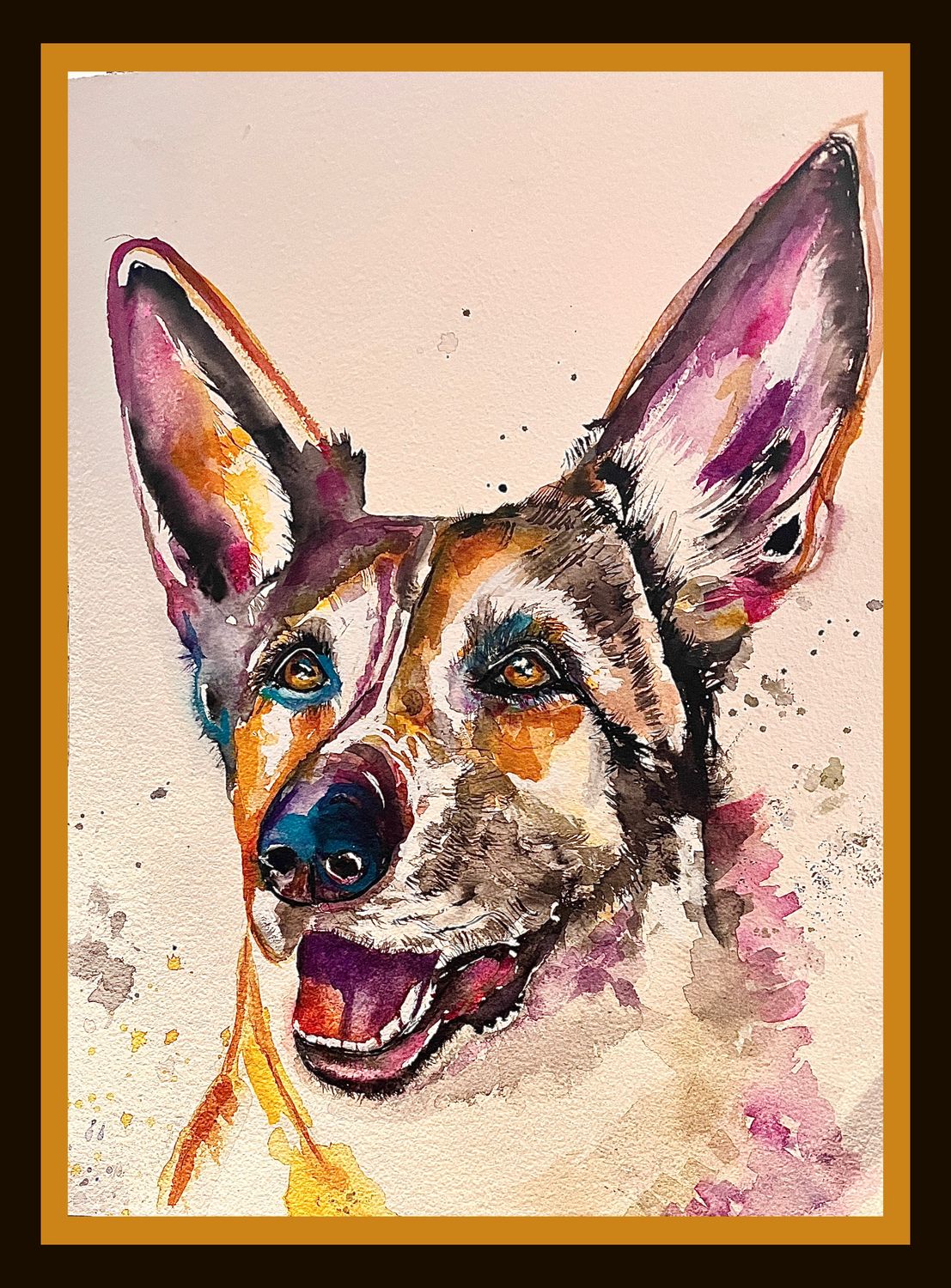 Pet portraits