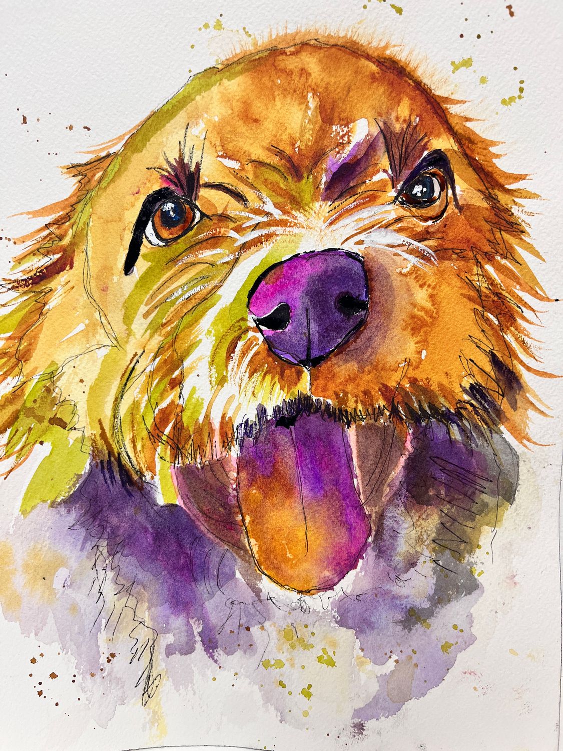 Pet portraits