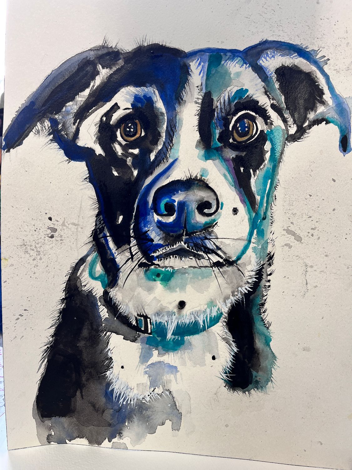 Pet portraits