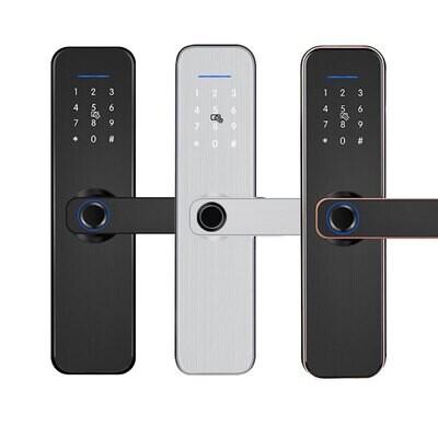 Smart Home door Lock Electric lock Biometric Fingerprint lock Key Code RFID card phone Tuya Wifi ttlock Indoor lock