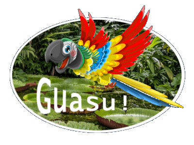GUASU™ Energy Tea