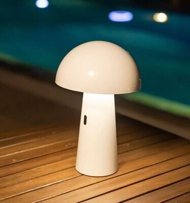 LAMPE RECHARGEABLE INT/EXT