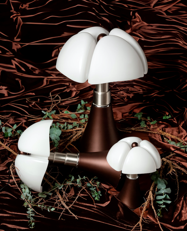 MINIPIPISTRELLO BRONZE