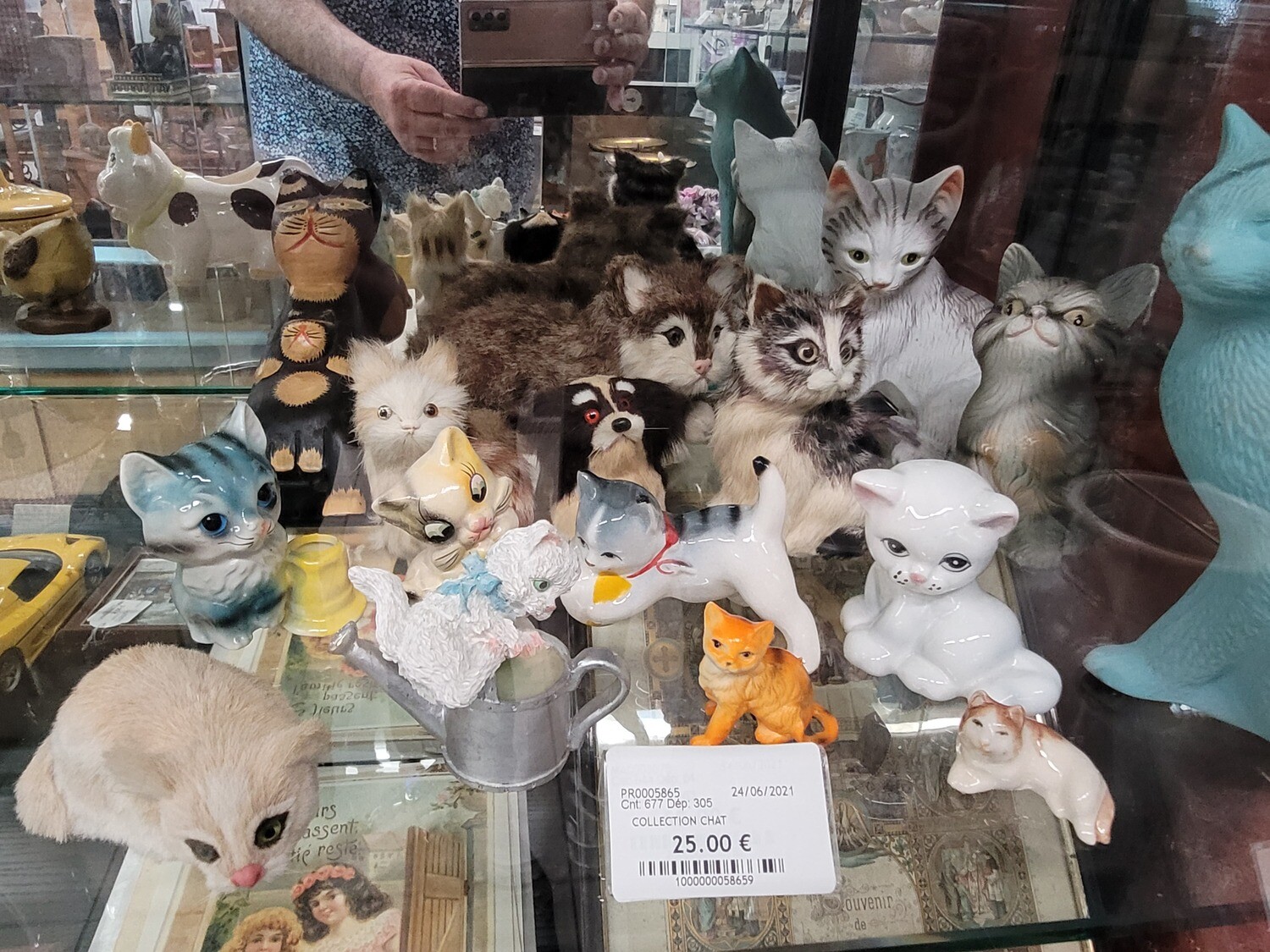COLLECTION DE PETIT CHAT
