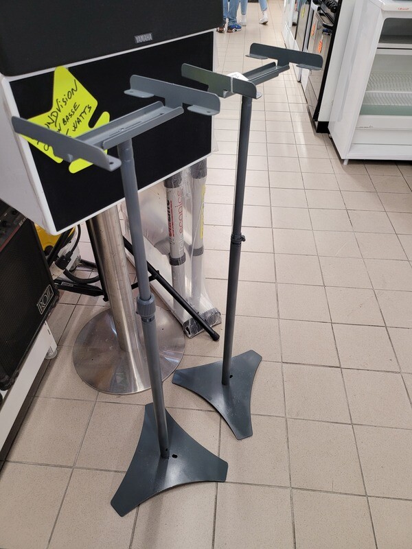 PAIRE DE PIED ENCEINTE