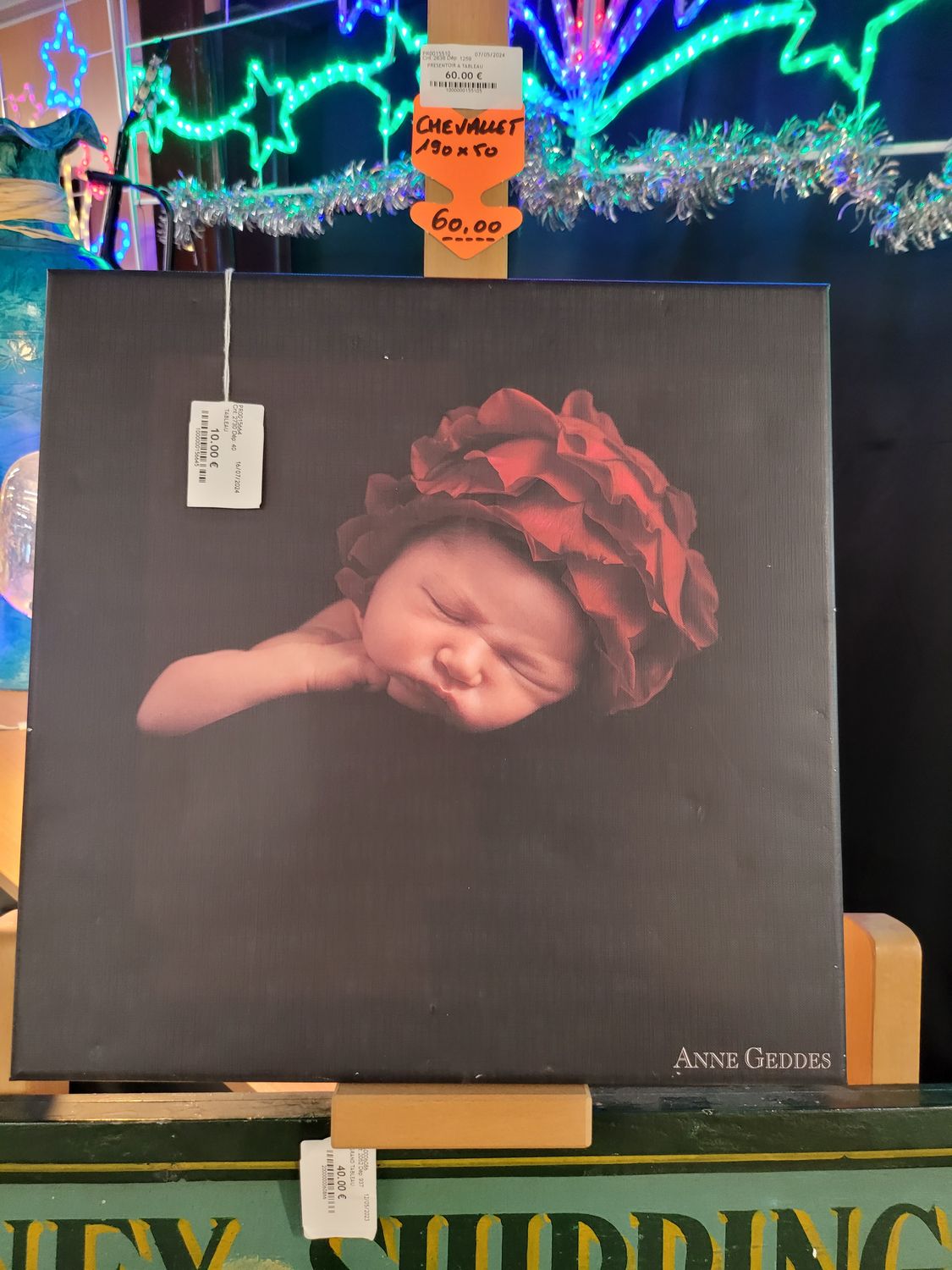 TABLEAU ENFANT ANNE GEDDES