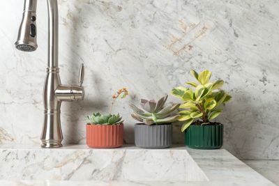 Jardinería y Macetas