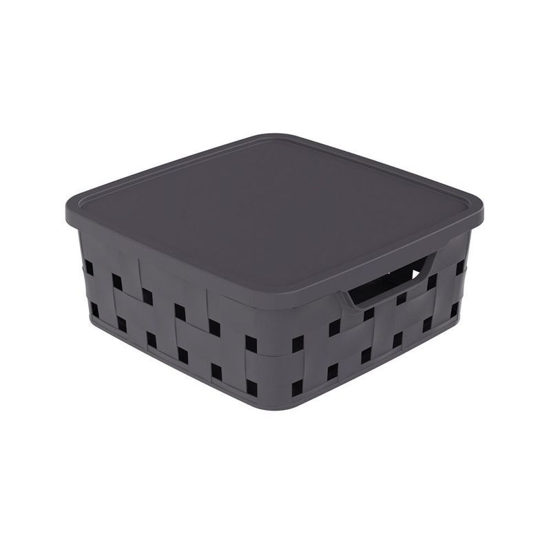 Casto organizador PLASÚTIL 11L