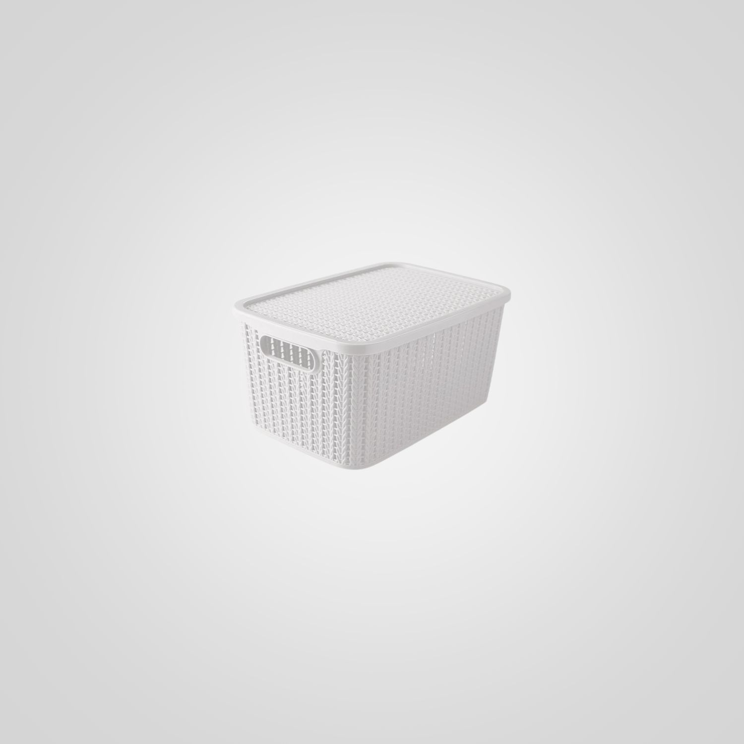 Caja organizadora PLASÚTIL 4,7L