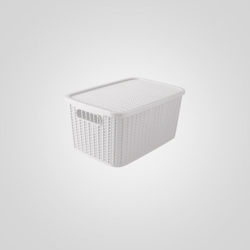 Caja Organizadora PLASÚTIL 14L