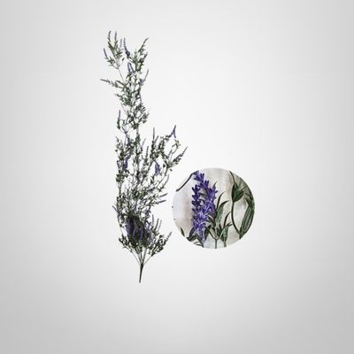 Ramo Decorativo Lavanda 92cm