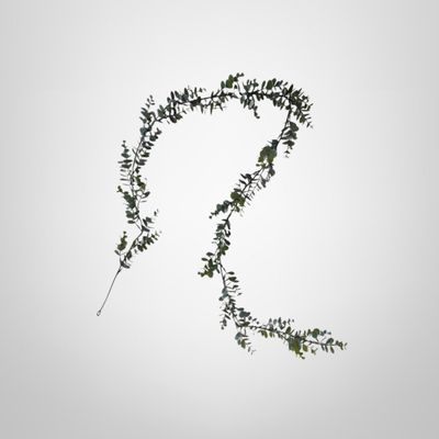 Planta Decorativa 170cm