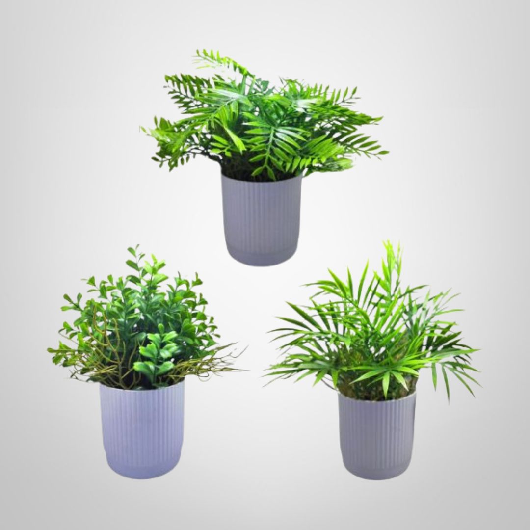 Planta en Maceta Plástica Decorativa 30x11cm (3 Modelos Surtidos)
