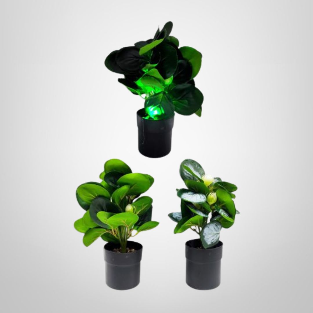 Planta Decorativa en Maceta Plástica 24x8cm