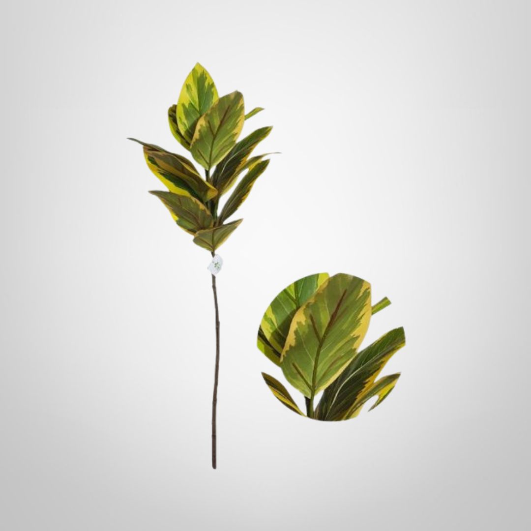 Ramo Decorativo &quot;Drasena&quot; 80cm