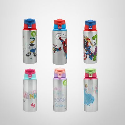 Botella de Acero Inoxidable 500ml ¨Licencias de Disney¨ KEEP