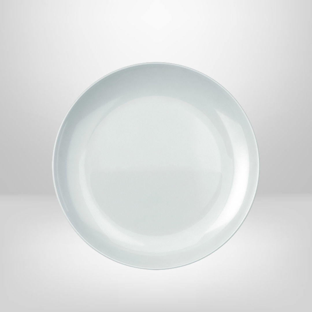 Plato Llano 27cm "Opaline Blanc" NADIR