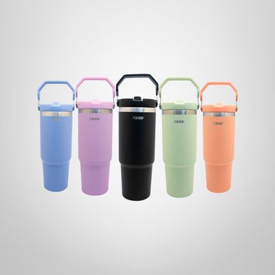 Botella Insulada c/Mango 850ml KEEP