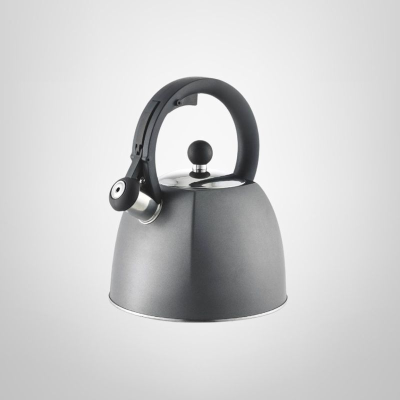 Caldera de 3 Litros con Silbato Gris Apta para Inducción