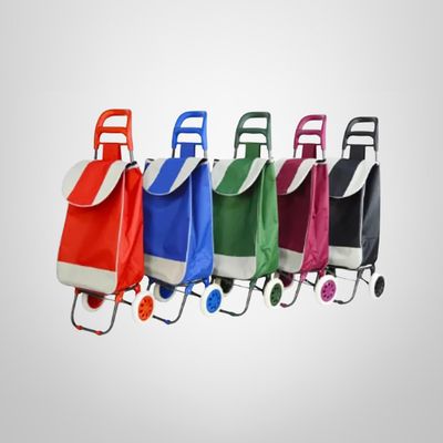 Carrito Feria de Tela en Colores Surtidos ROSWELL