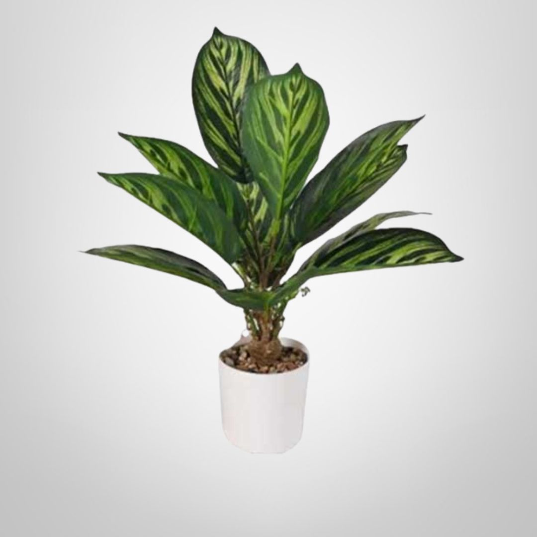 Planta Artificial Caleta Verde 46cm
