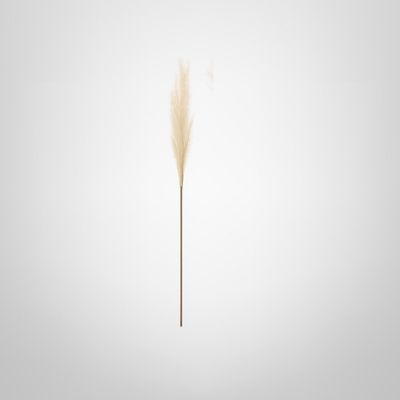 Rama Decorativa 110cm Blanco Roto