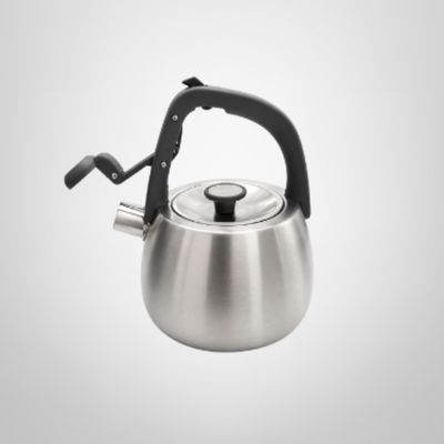 Caldera Silbadora de Acero Inoxidable 2,5 Litros HUDSON