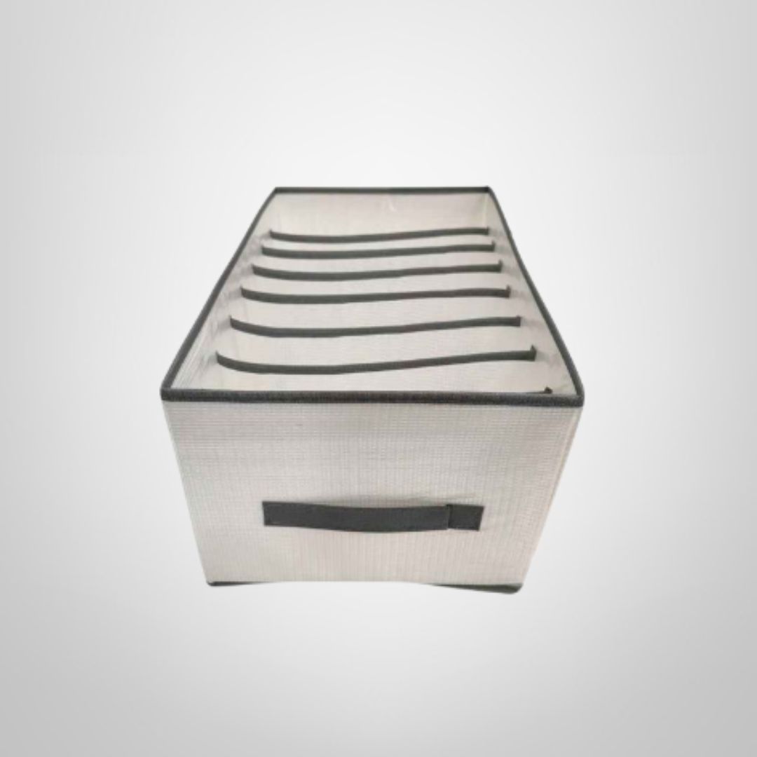 Caja Organizadora 8 Divisiones PVC c/Asas 24,5x20x40cm