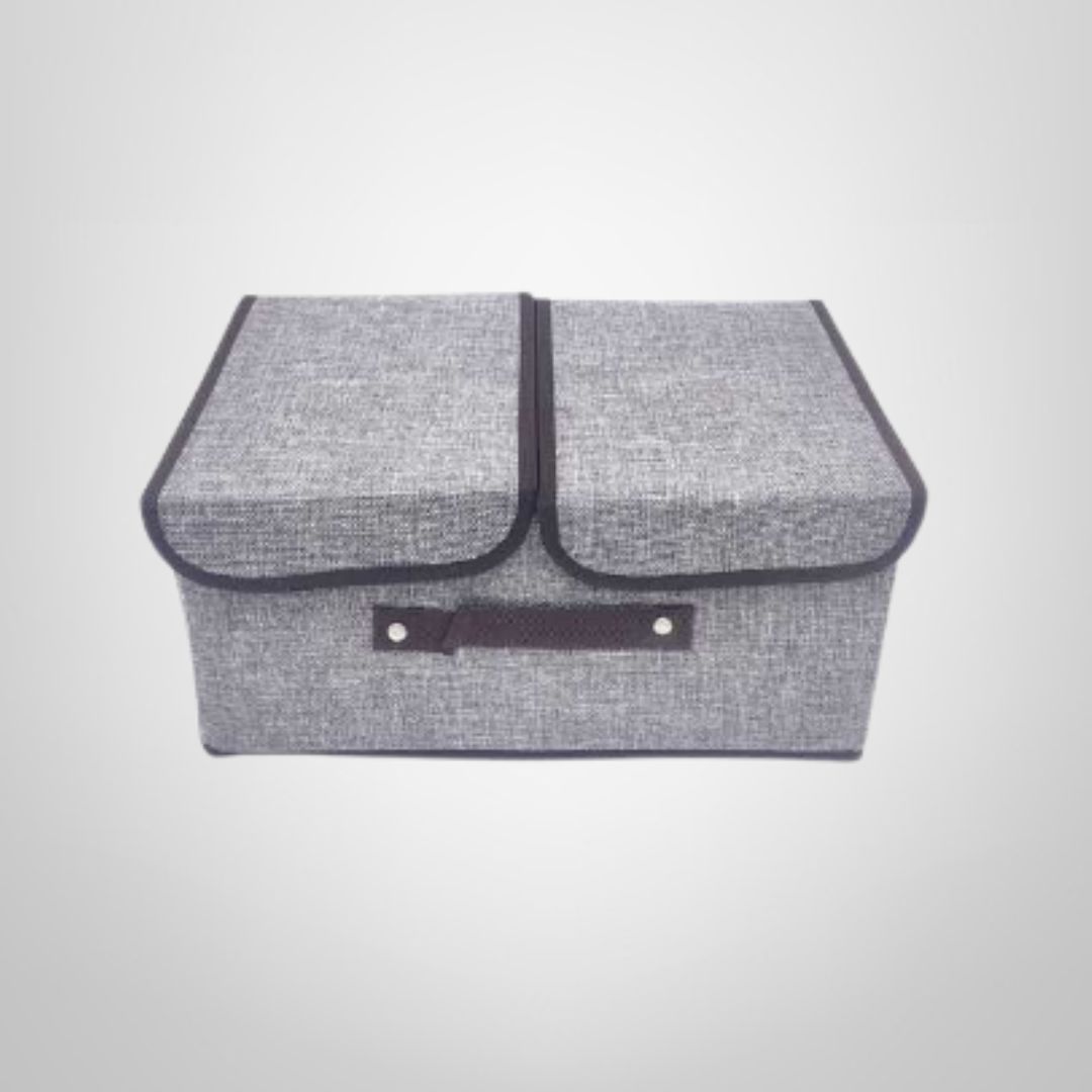 Caja Organizadora 2 Divisiones c/Tapa y Asa TNT