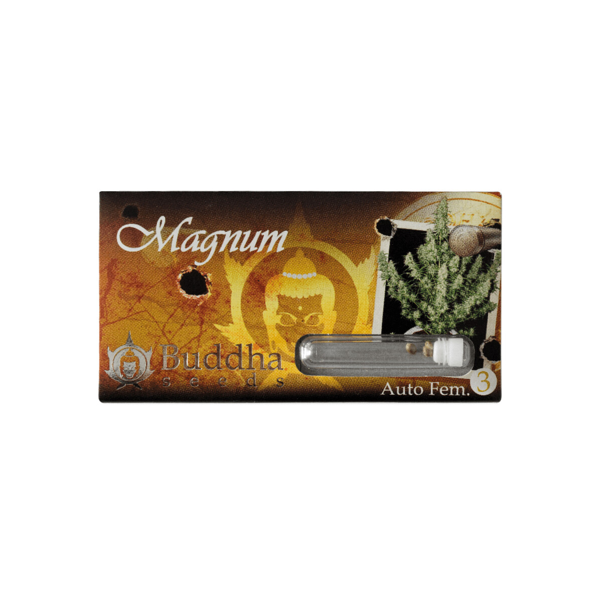Magnum 4 semillas banco Buddha