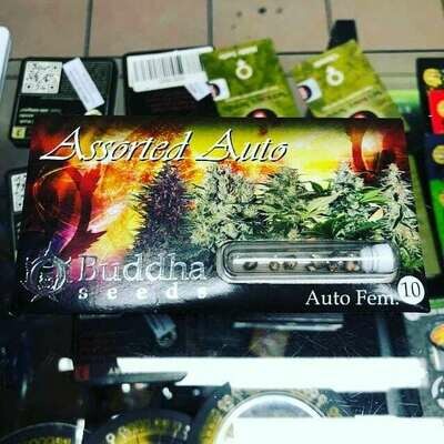 Assorted Mix 10 seed