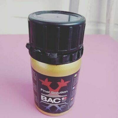 Final Solution BAC
