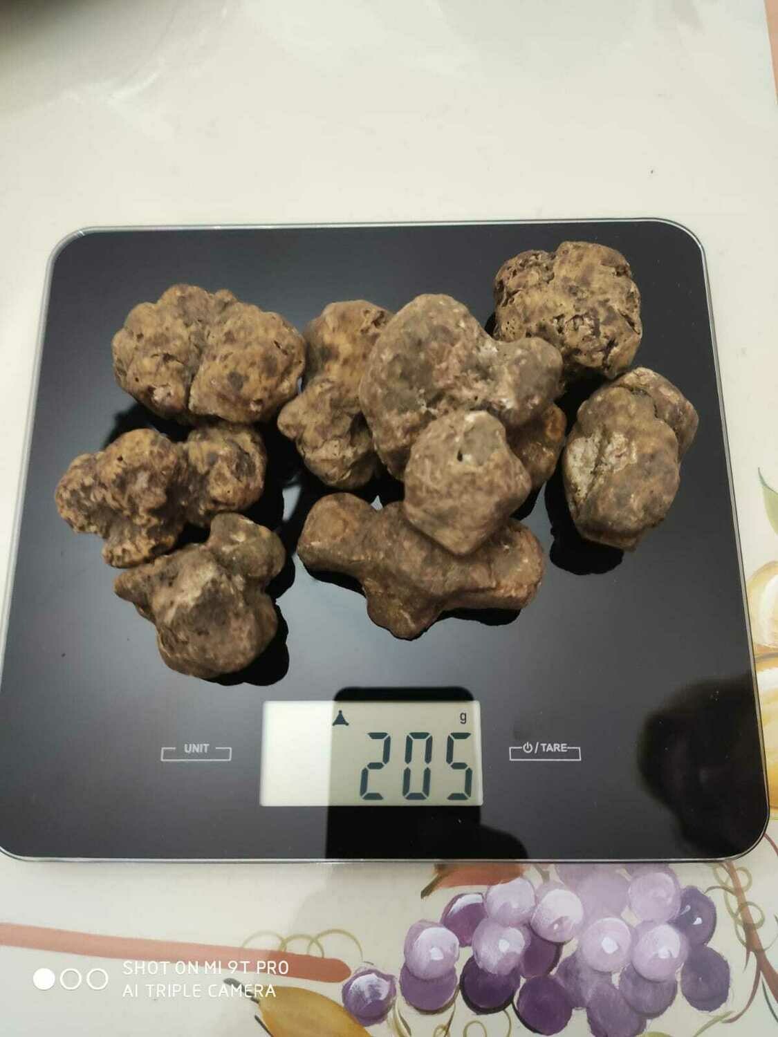Tartufo Bianco d&#39;Alba (tuber magnatum pico)