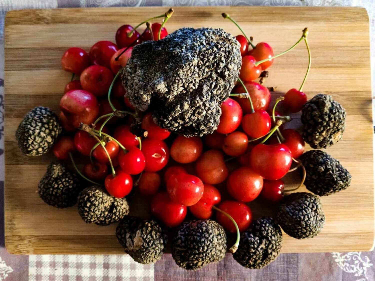 Caccia al tartufo &amp; Aperitivo tartufato