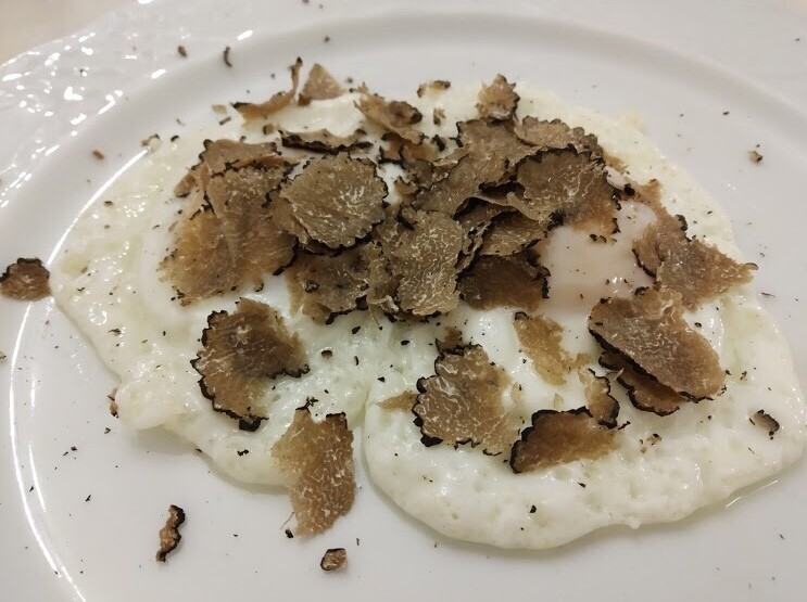 Caccia al tartufo &amp; Pranzo a base di tartufo