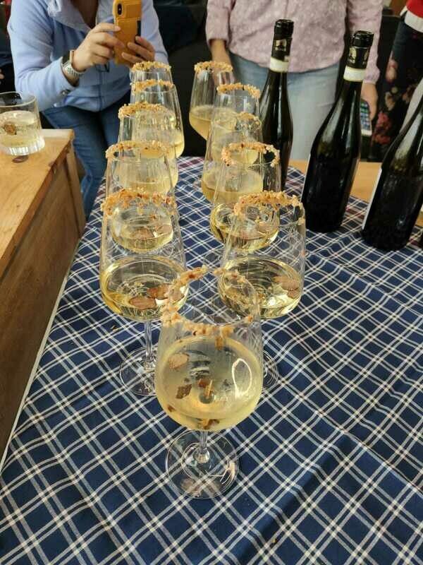 Caccia al tartufo e degustazione vini