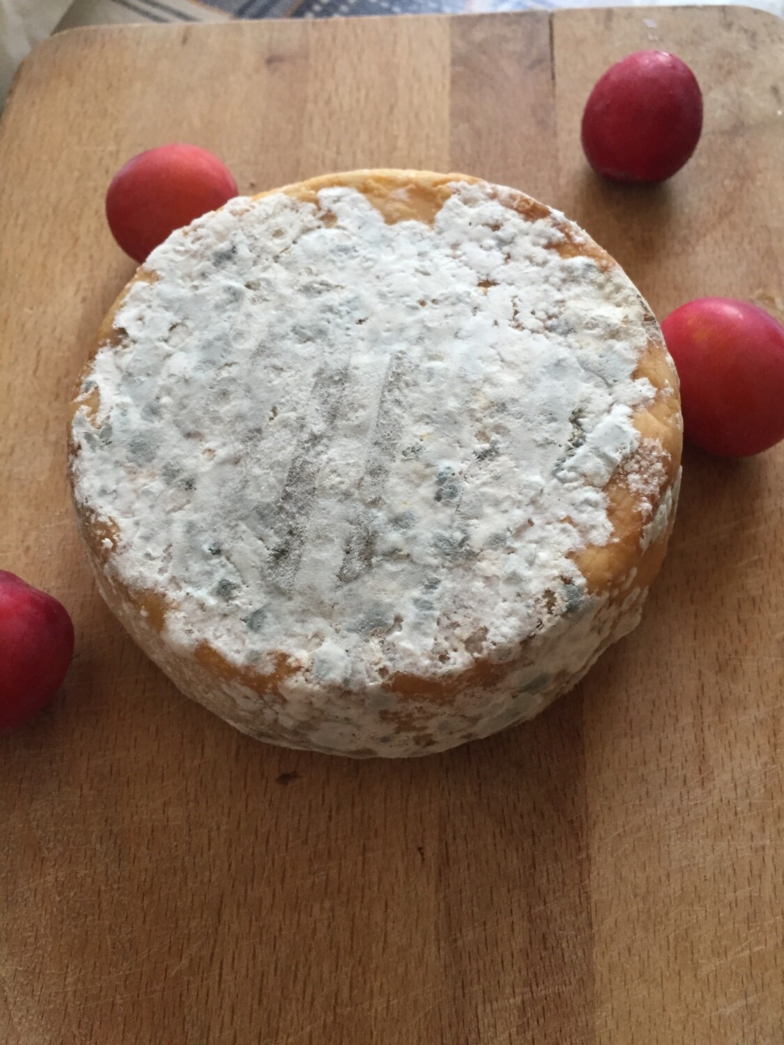 Caccia al tartufo e degustazione formaggi
