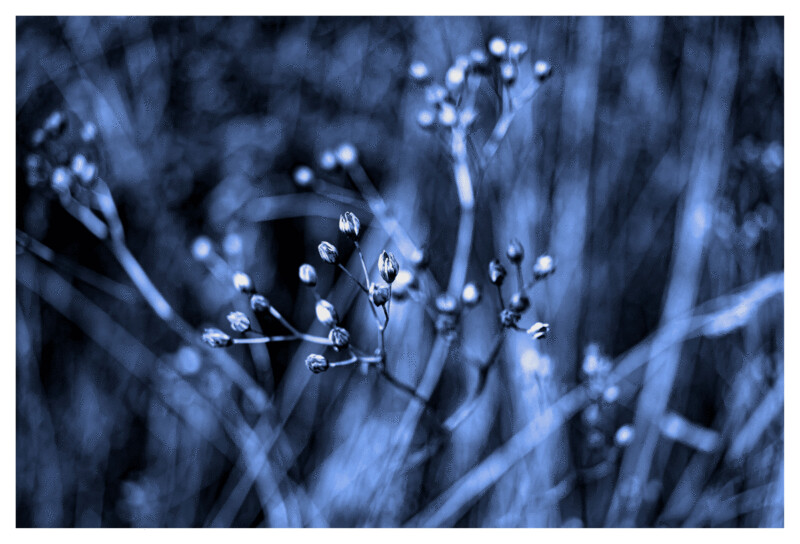 Blue #02